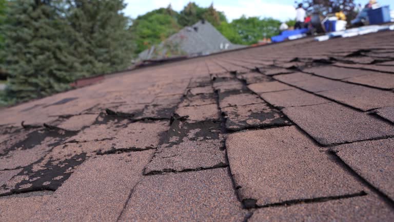 Best Sheet Metal Roofing  in Brookfield, NJ