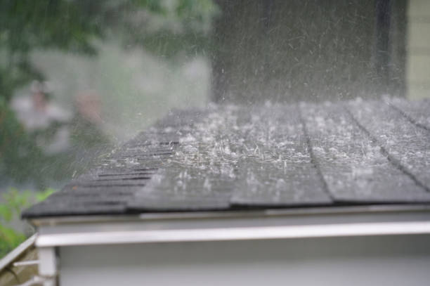 Best Storm Damage Roof Repair  in Brookfield, NJ